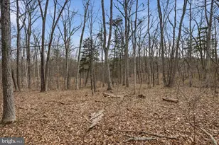 Lot 3 Arapaho Ln, Stephens City, VA 22655 - Photo 1