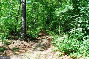 Lot 153 Babbs Mountain Rd, Winchester, VA 22603 - Photo 1
