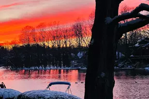 11292 Harbor Ct, Reston, VA 20191 - Photo 1