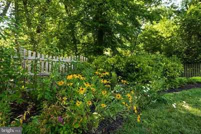 8509 Richmond Avenue, Alexandria, VA 22309 - Photo 33