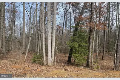Chopping Road, Mineral, VA 23117 - Photo 1