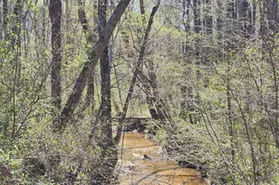 Lot 15B Bent Creek Ln, Bumpass, VA 23024 - Photo 1