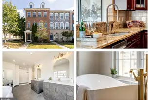 1707 Taymount Terrace NE, Leesburg, VA 20176 - Photo 1