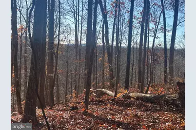 38196 Lime Kiln Road, Middleburg, VA 20117 - Photo 1