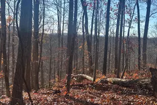 38196 Lime Kiln Rd, Middleburg, VA 20117 - Photo 1