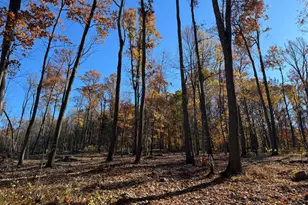 0 Digging Bear Ln, Purcellville, VA 20132 - Photo 1