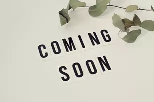 22886 Lacey Oak Terrace, Sterling, VA 20166 - Photo 1