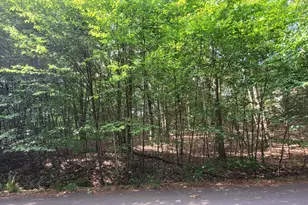 H17 Wolf Hollow Rd, Lake Harmony, PA 18624 - Photo 1