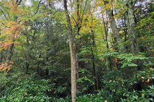 Sunrise Ln, Albrightsville, PA 18210 - Photo 1