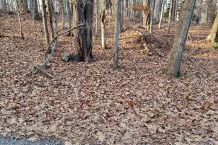 14-21-6 Omaha Trail, Pocono Lake, PA 18347 - Photo 1