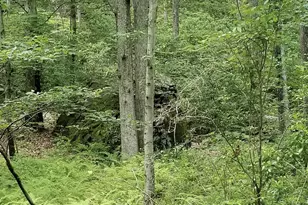 A141 Rosewood Dr, Jim Thorpe, PA 18229 - Photo 5