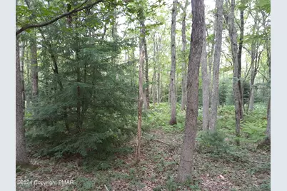  A141 Rosewood Drive, Jim Thorpe, PA 18229 - Photo 9