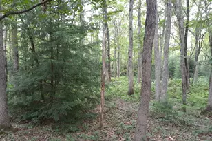 A141 Rosewood Dr, Jim Thorpe, PA 18229 - Photo 9