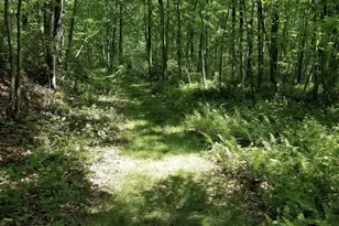 A141 Rosewood Dr, Jim Thorpe, PA 18229 - Photo 7