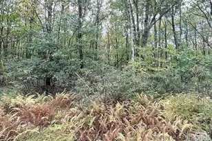 A141 Rosewood Dr, Jim Thorpe, PA 18229 - Photo 3