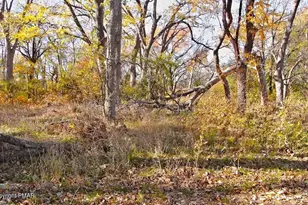 A141 Rosewood Dr, Jim Thorpe, PA 18229 - Photo 11