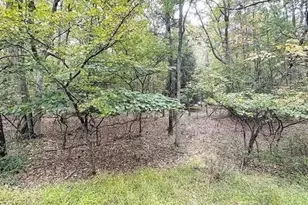 A141 Rosewood Dr, Jim Thorpe, PA 18229 - Photo 13