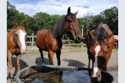  Lot 151 Bear Drive, Bushkill, PA 18324 - Photo 5