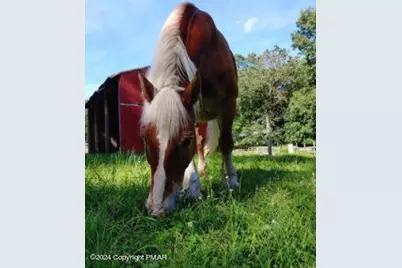  Lot 151 Bear Drive, Bushkill, PA 18324 - Photo 7