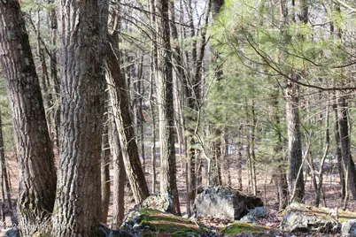  Deer Path Path, East Stroudsburg, PA 18302 - Photo 5