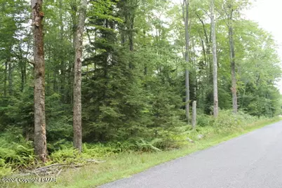  517 E Forest Road, Pocono Lake, PA 18347 - Photo 11