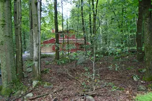 368 Ridge Rd, Pocono Lake, PA 18347 - Photo 3