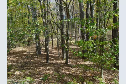  Riverside Lane, Pocono Lake, PA 18347 - Photo 5