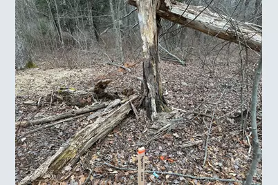  56 B June Dr, Tobyhanna, PA 18466 - Photo 9