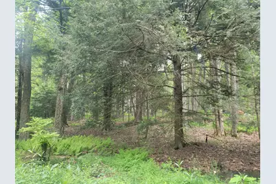  46 Onoco Drive, Pocono Lake, PA 18347 - Photo 1