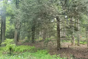 46 Onoco Dr, Pocono Lake, PA 18347 - Photo 1