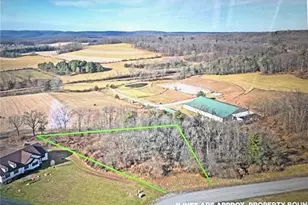 Ricks Rd, New Ringgold, PA 17960 - Photo 7