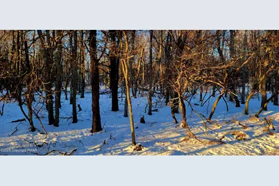  715 Chippewa Tr Trail, Albrightsville, PA 18210 - Photo 3