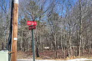 Minisink Chippewa Trail, Albrightsville, PA 18210 - Photo 3