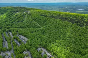 270 Big Pocono Pass, Tannersville, PA 18372 - Photo 59