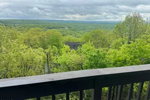 270 Big Pocono Pass, Tannersville, PA 18372 - Photo 67