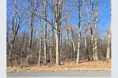  1000 State Route 940, Lake Harmony, PA 18624 - Photo 23