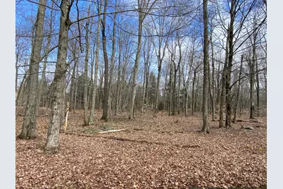  1018 W Wadi Road, Pocono Lake, PA 18347 - Photo 1