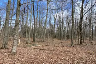 1018 W Wadi Rd, Pocono Lake, PA 18347 - Photo 1