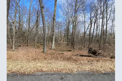  1018 W Wadi Road, Pocono Lake, PA 18347 - Photo 13