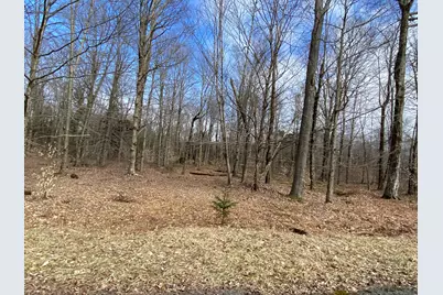  1018 W Wadi Road, Pocono Lake, PA 18347 - Photo 11