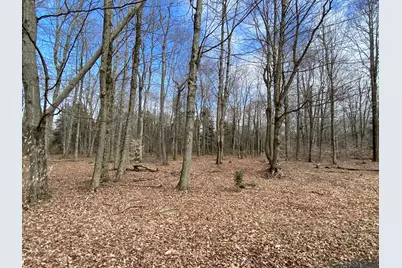  1018 W Wadi Road, Pocono Lake, PA 18347 - Photo 7