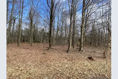  1018 W Wadi Road, Pocono Lake, PA 18347 - Photo 9