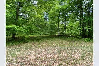  903 W Wadi Road, Pocono Lake, PA 18347 - Photo 21