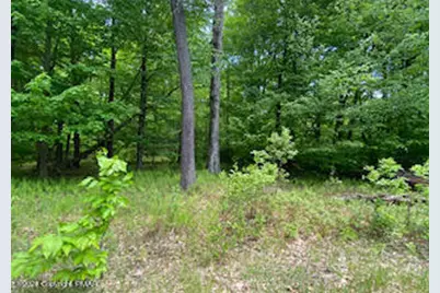  903 W Wadi Road, Pocono Lake, PA 18347 - Photo 15