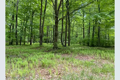  903 W Wadi Road, Pocono Lake, PA 18347 - Photo 1