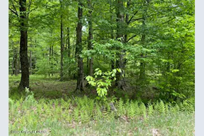  903 W Wadi Road, Pocono Lake, PA 18347 - Photo 11