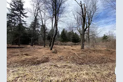  905 Wadi Road, Pocono Lake, PA 18347 - Photo 1