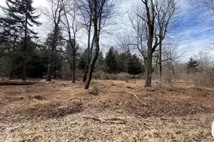 905 Wadi Rd, Pocono Lake, PA 18347 - Photo 1