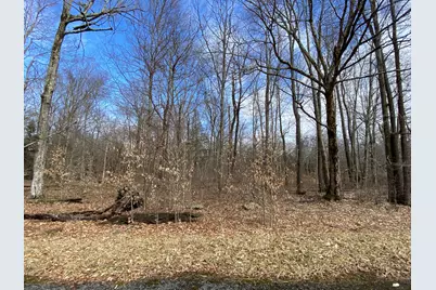  1020 W Wadi Road, Pocono Lake, PA 18347 - Photo 1