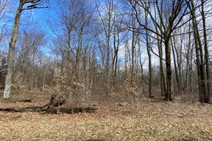 1020 W Wadi Rd, Pocono Lake, PA 18347 - Photo 1